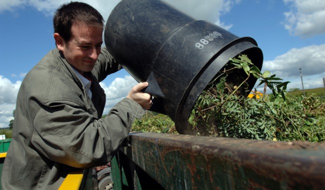 rubbish removal services in brisbane